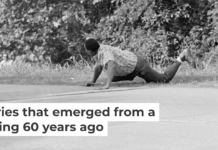 James Meredith looks at Aubrey Norvell, partially hidden behind foliage, after Norvell shot him in Hernando, Miss., on June 6, 1966. AP Photo/Jack Thornell